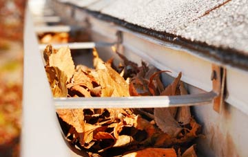 Abbey Village gutter cleaning companies