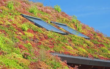 Abbey Village living roof systems