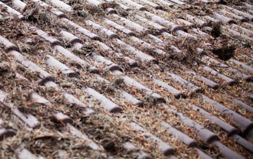 Abbey Village roof cleaning companies