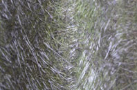 Abbey Village fibreglass roof work